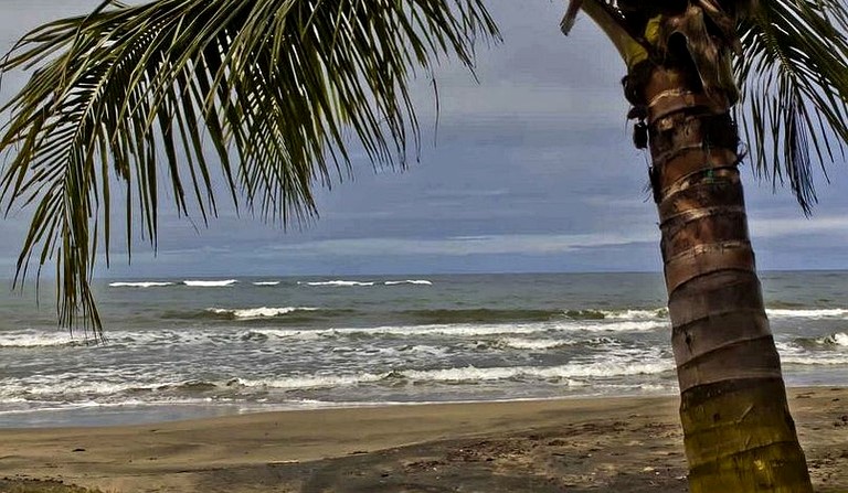 Huts (Manzanillo, Limón, Costa Rica)