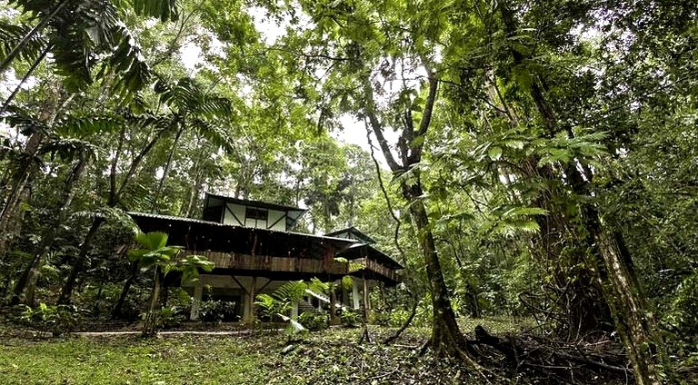 Huts (Manzanillo, Limón, Costa Rica)