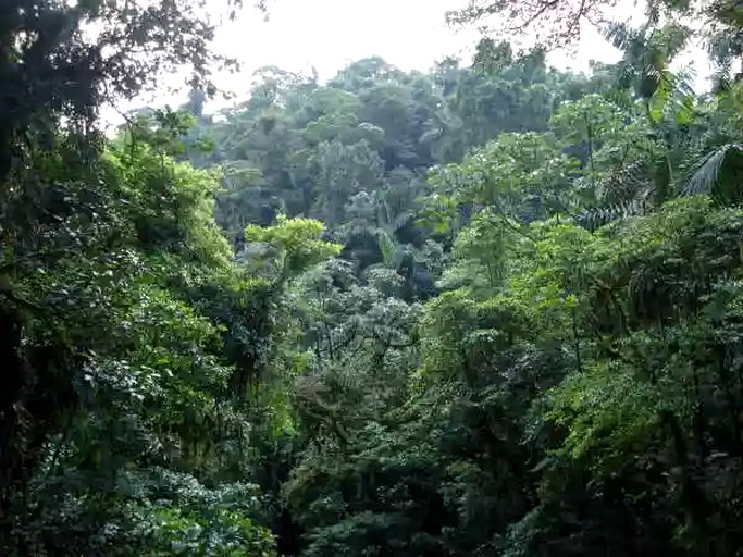 Huts (Manzanillo, Limón, Costa Rica)