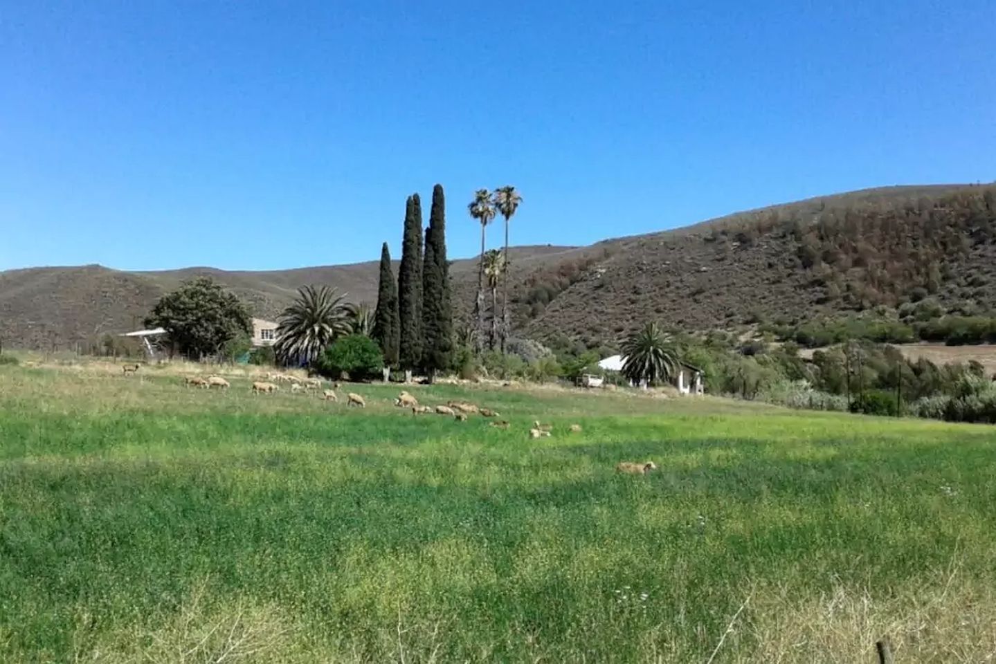 Historic Cabin with Spectacular Mountain Views near Oudtshoorn, South Africa