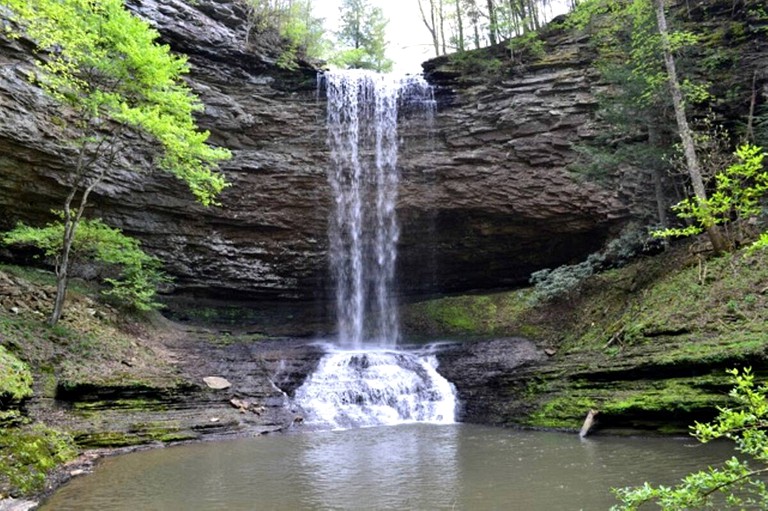 Designer Rentals (Grandview, Tennessee, United States of America)