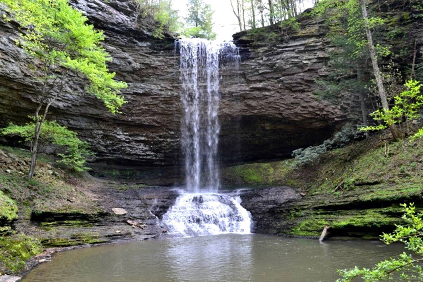 Eccentric Converted Bus, Perfect for a Tennessee Vacation