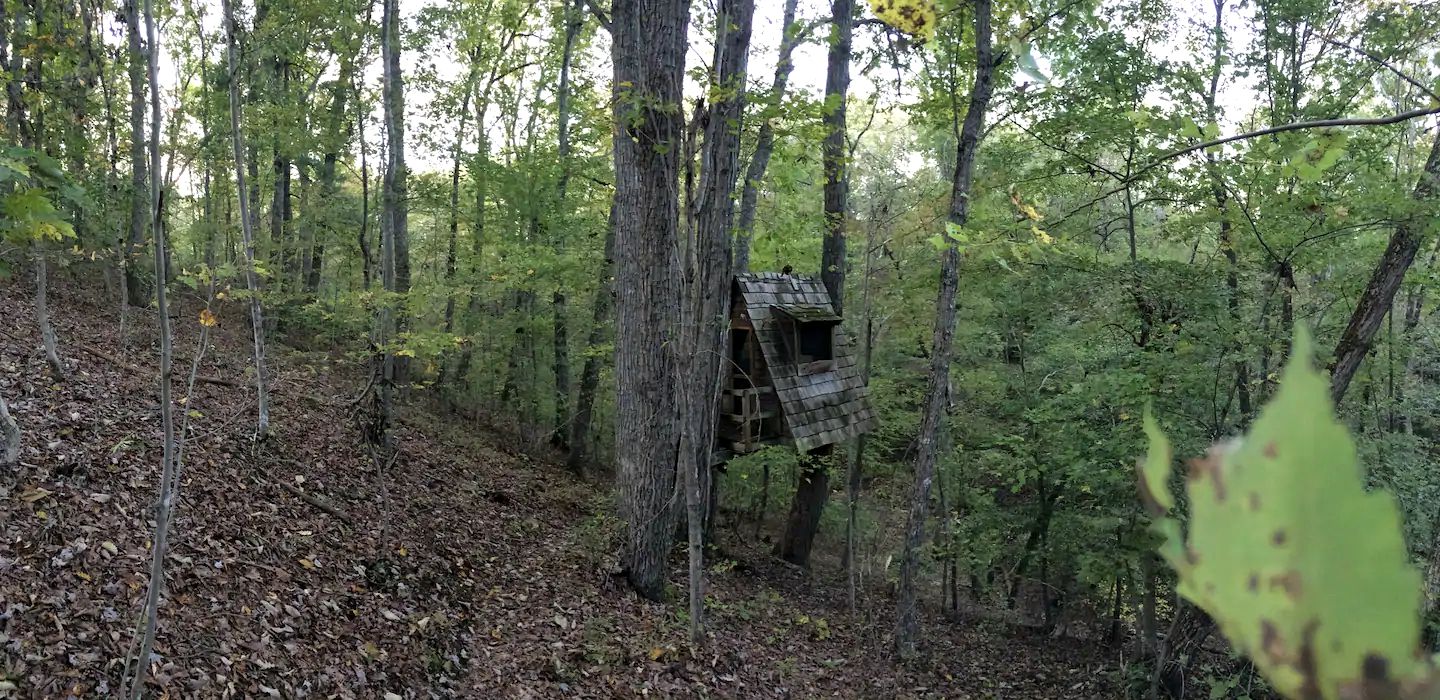 Secluded Getaway Spot in a Quiet Forest for Camping near Charlottesville, VA