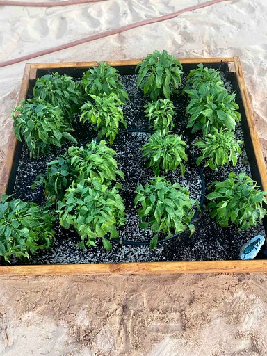 Tiny Houses (Hildale, Utah, United States of America)