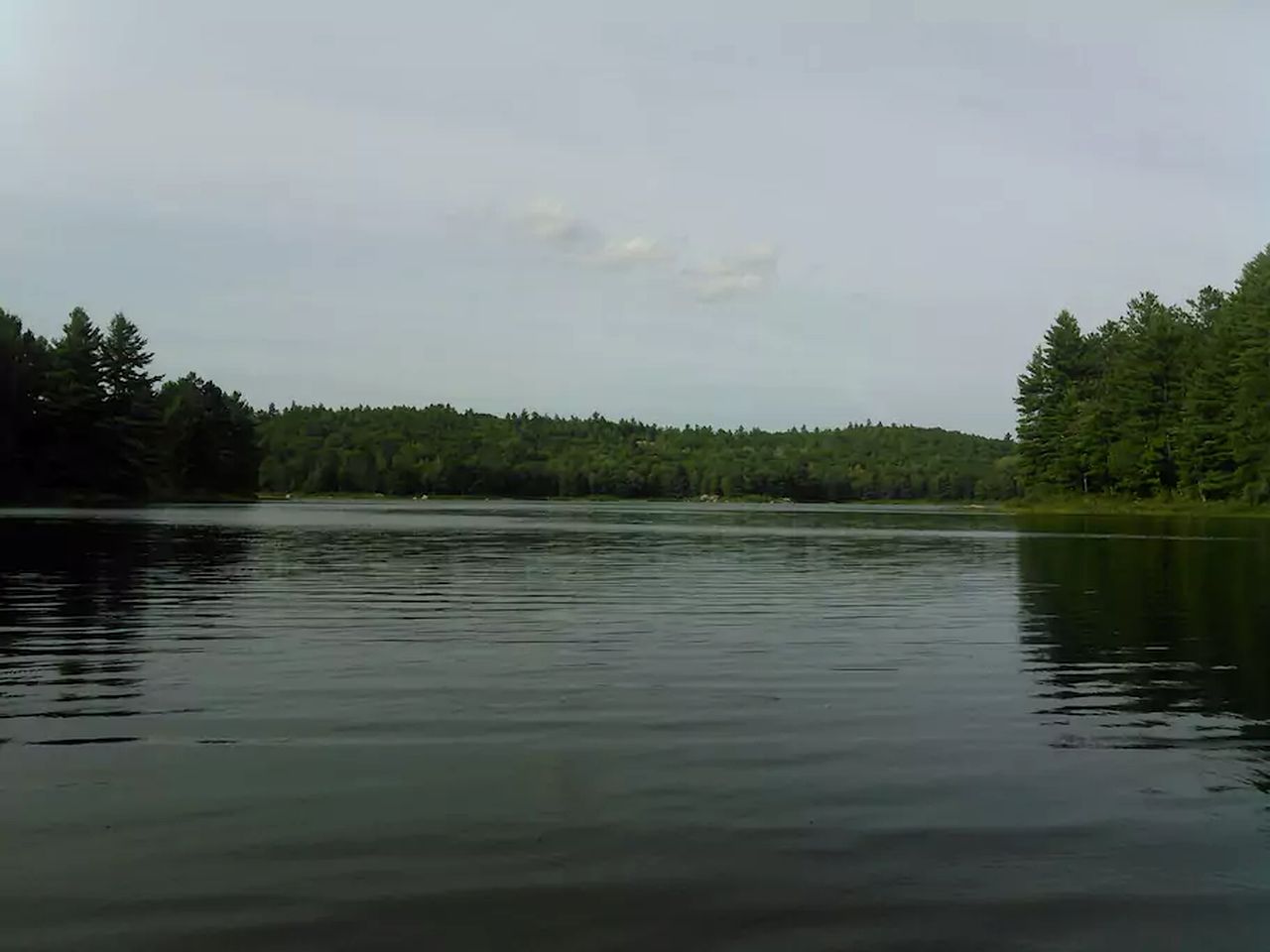 Secluded Cabin Rental Surrounded by Forested Hiking Trails in Golden Lake, Ontario