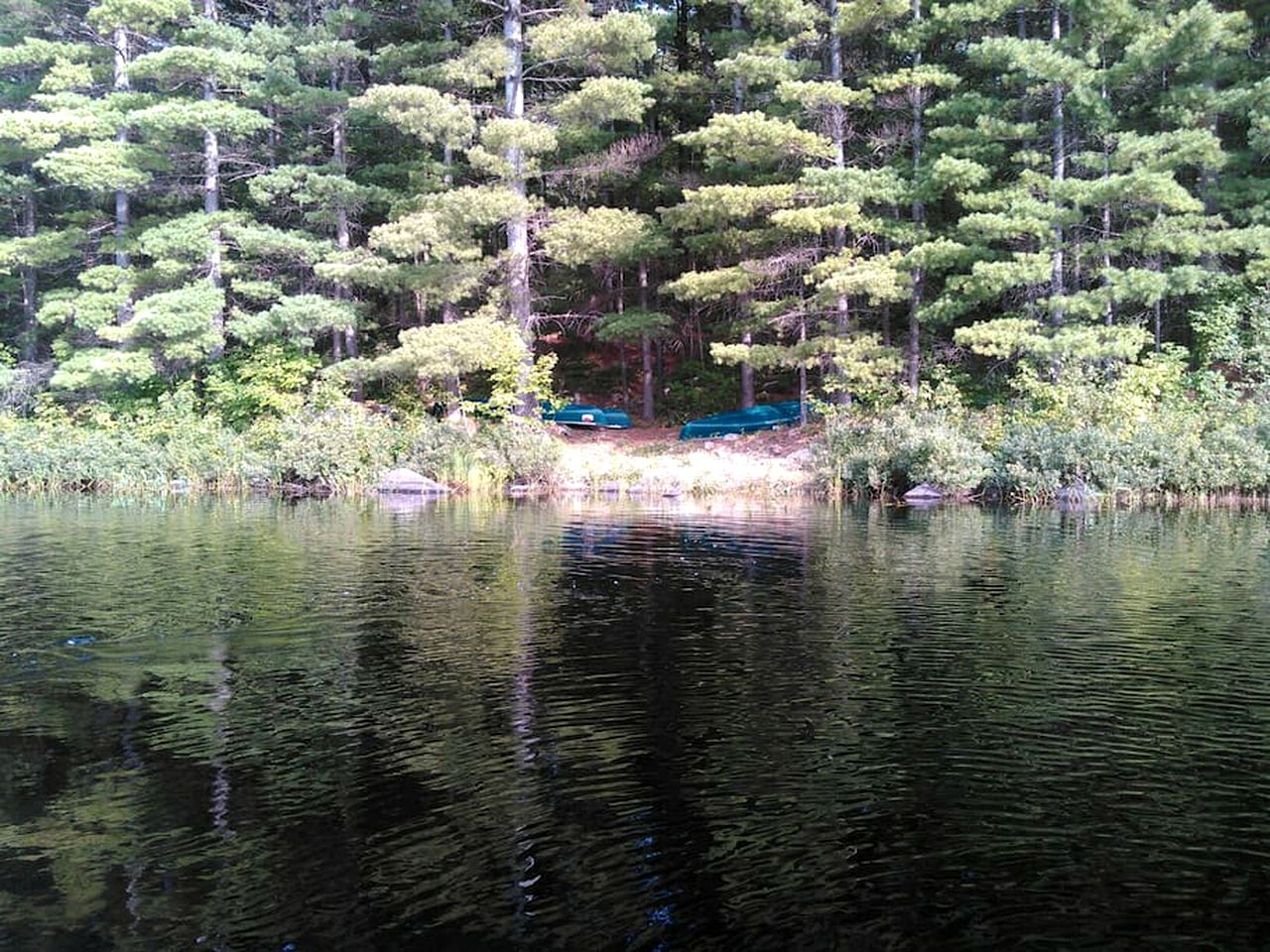 Secluded Cabin Rental Surrounded by Forested Hiking Trails in Golden Lake, Ontario