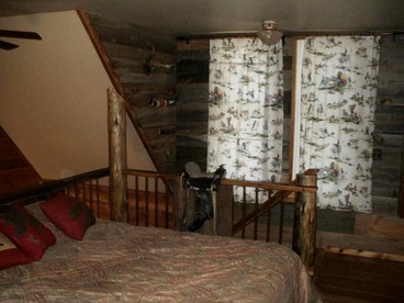 Rustic Cabin Rental near Tonto National Forest in Payson, Arizona photo 4