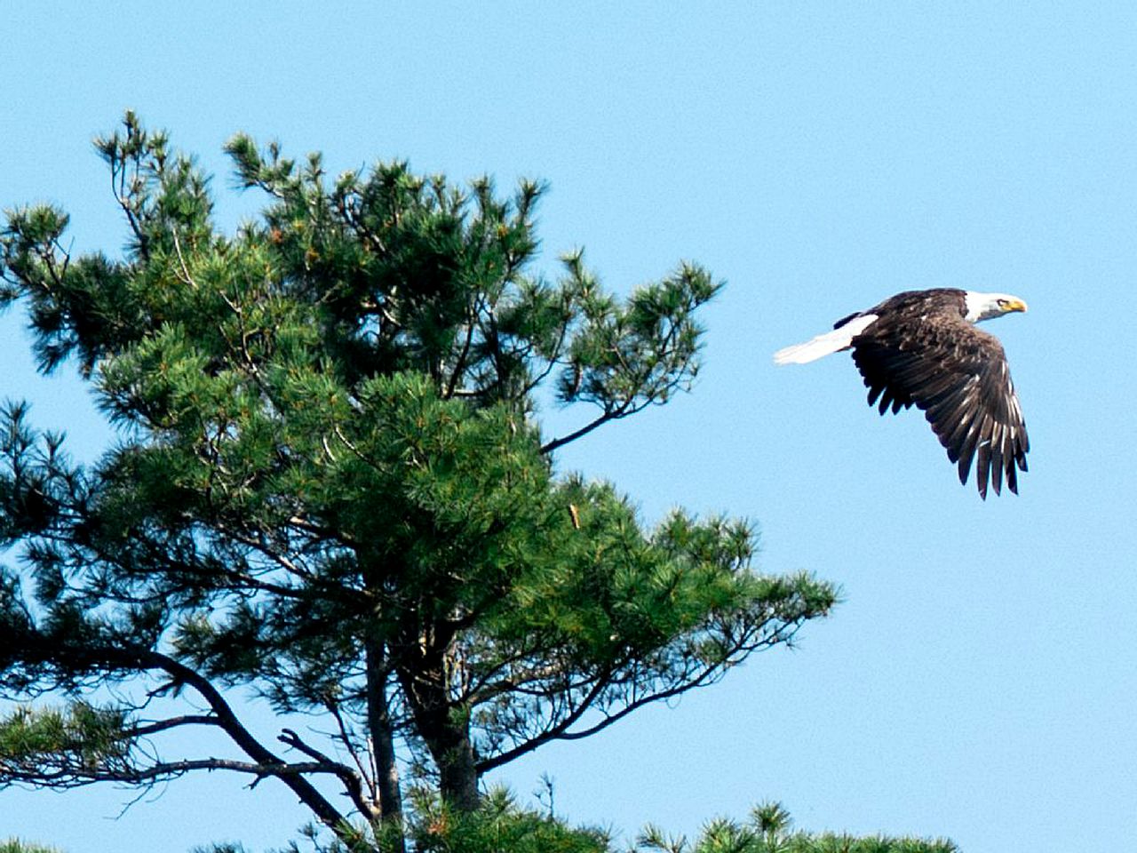 Off-The-Grid Cottage Rental with Beautiful Views on Crow Island, Maine