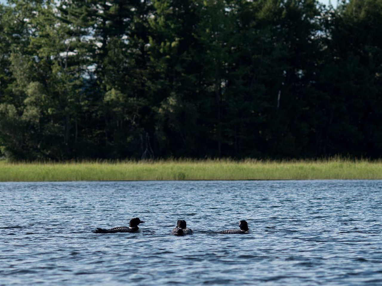 Little Diamond Island - on Private Island