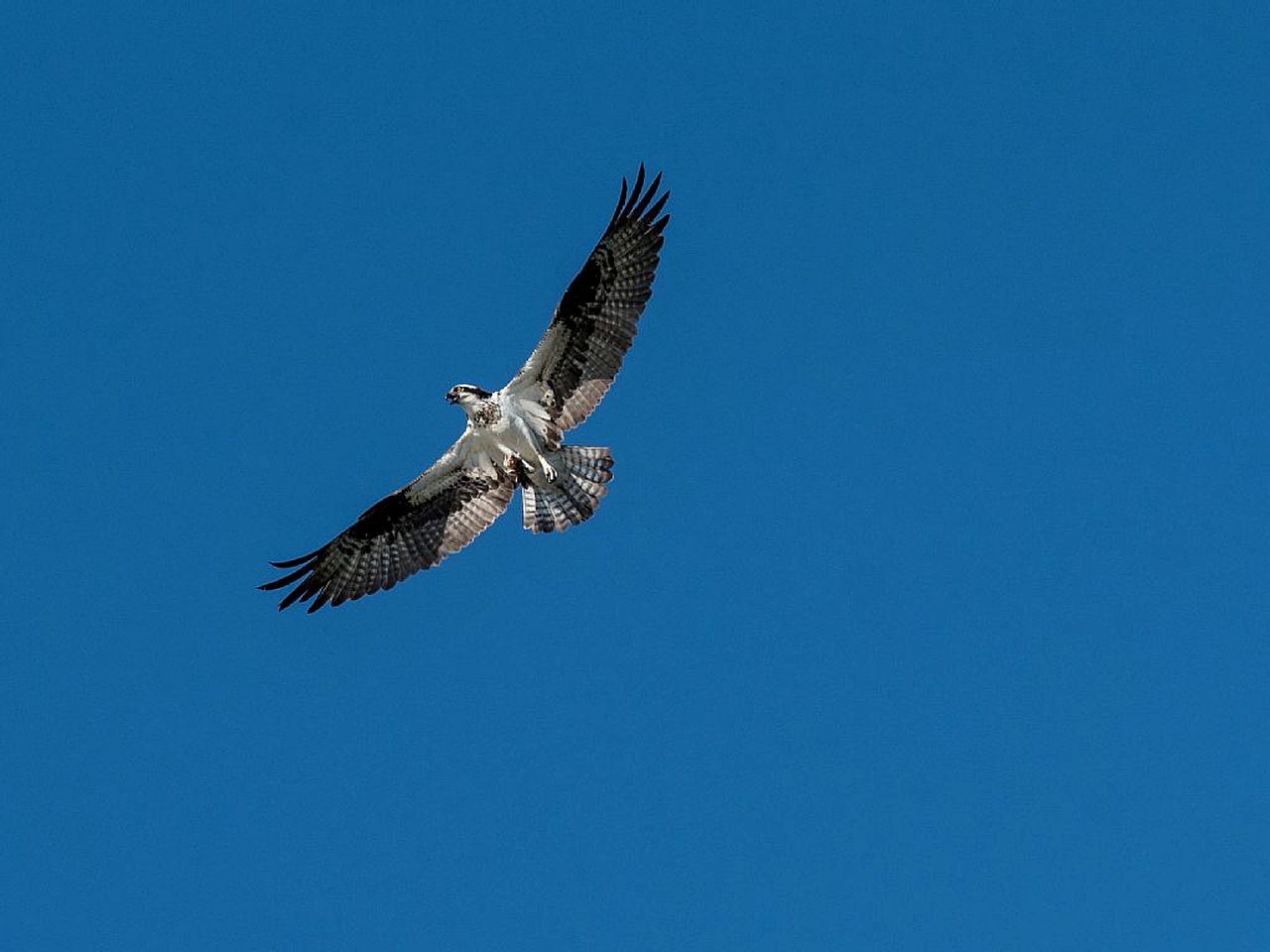 Little Diamond Island - on Private Island