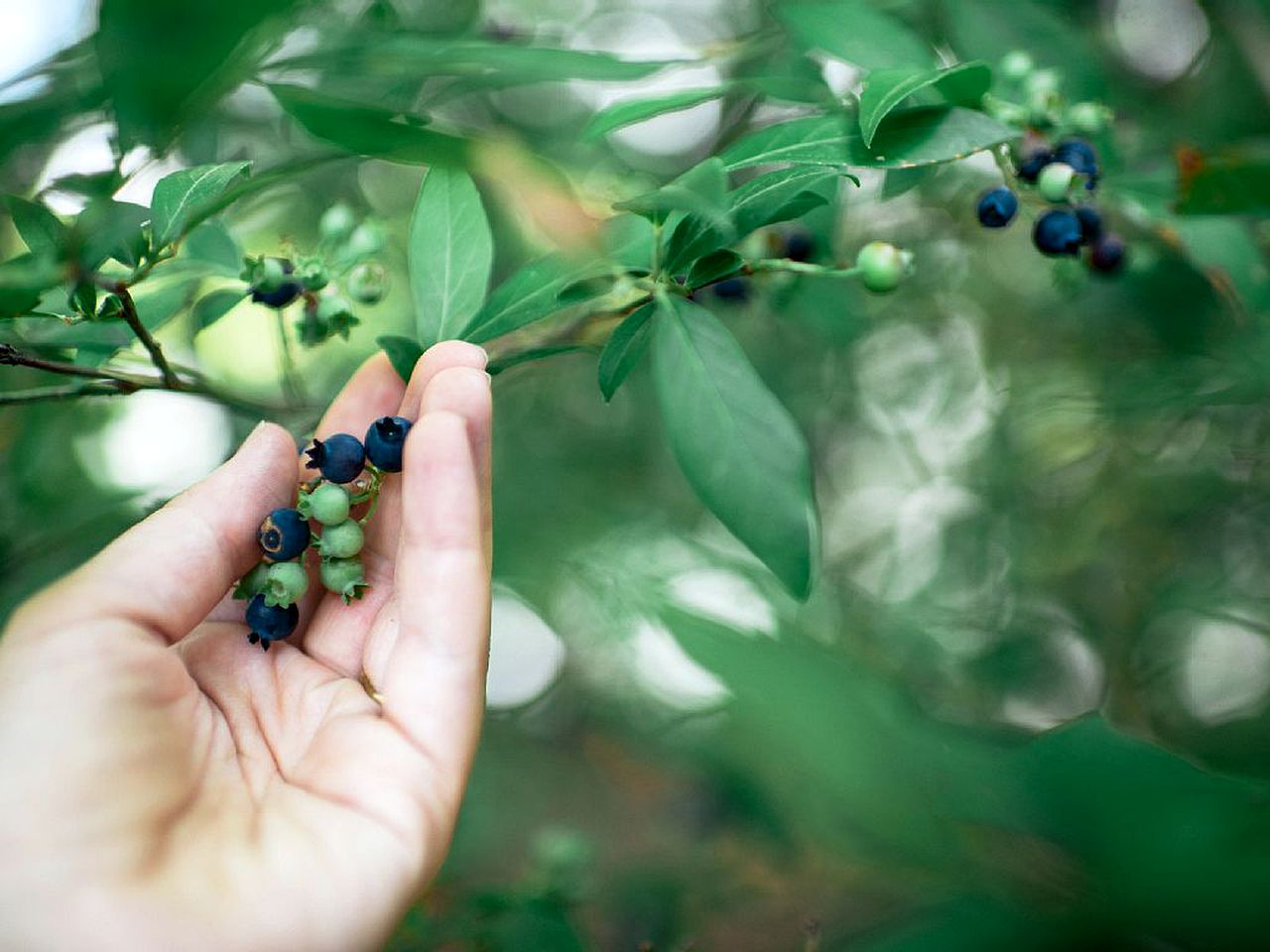 Little Diamond Island - on Private Island