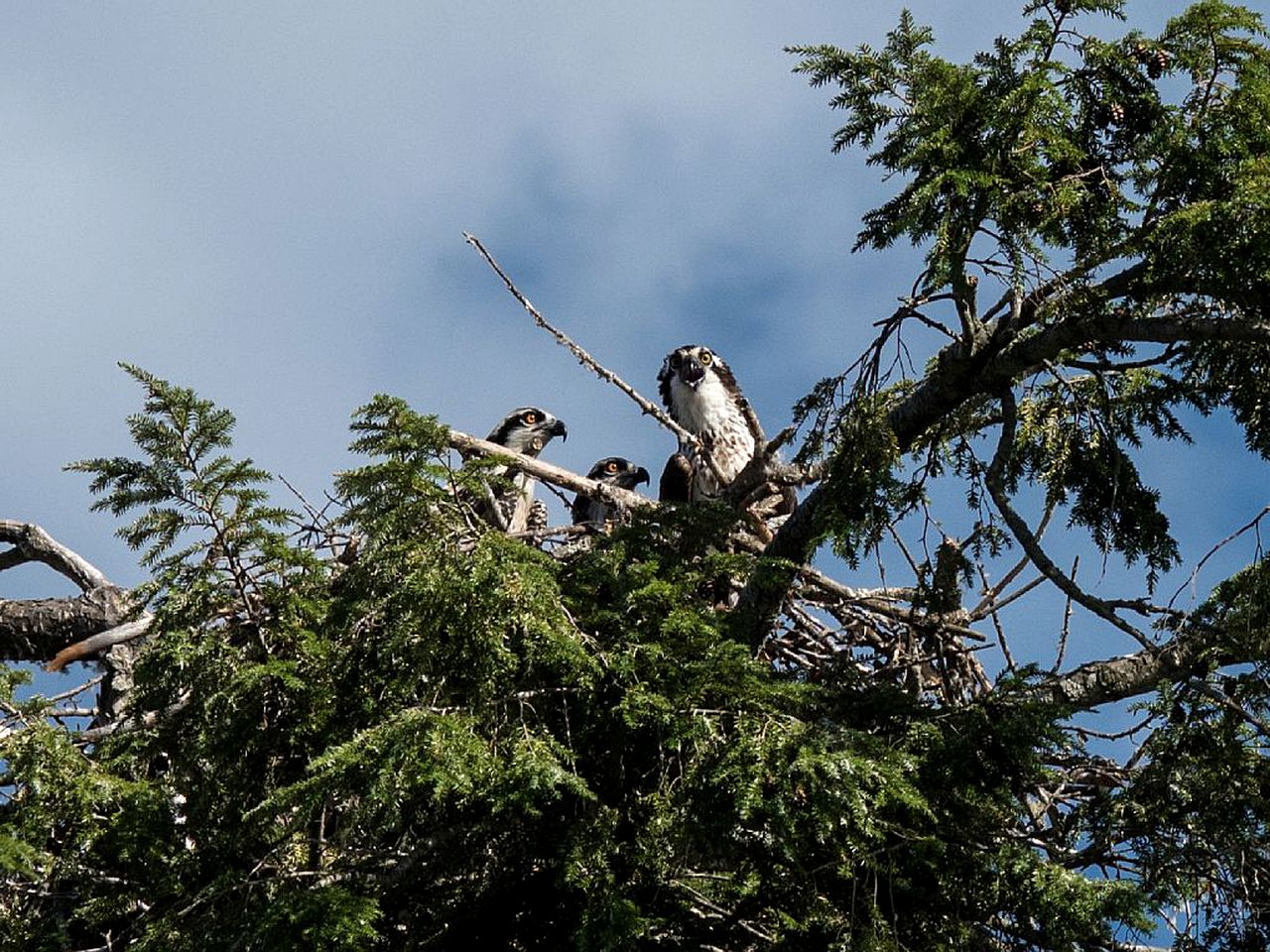 Little Diamond Island - on Private Island