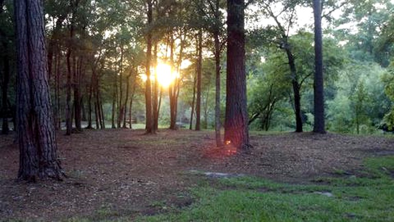 Cabins (Brunswick, Georgia, United States)