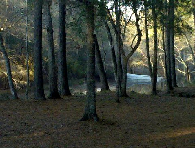 Cabins (Brunswick, Georgia, United States)