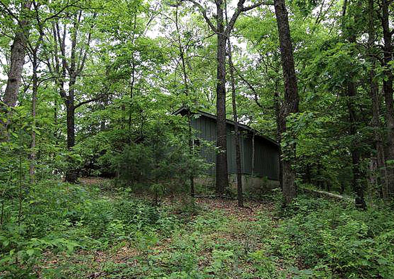 Idyllic Woodland Cabin with near the Roaring River State Park, Missouri