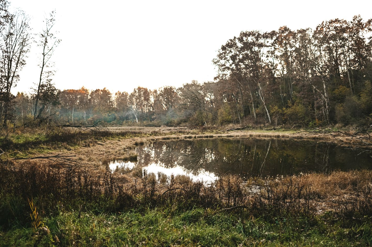 Beautifully Restored Historic Scout Cabin with Pond View for a Peaceful Romantic Escape in Troy, Wisconsin