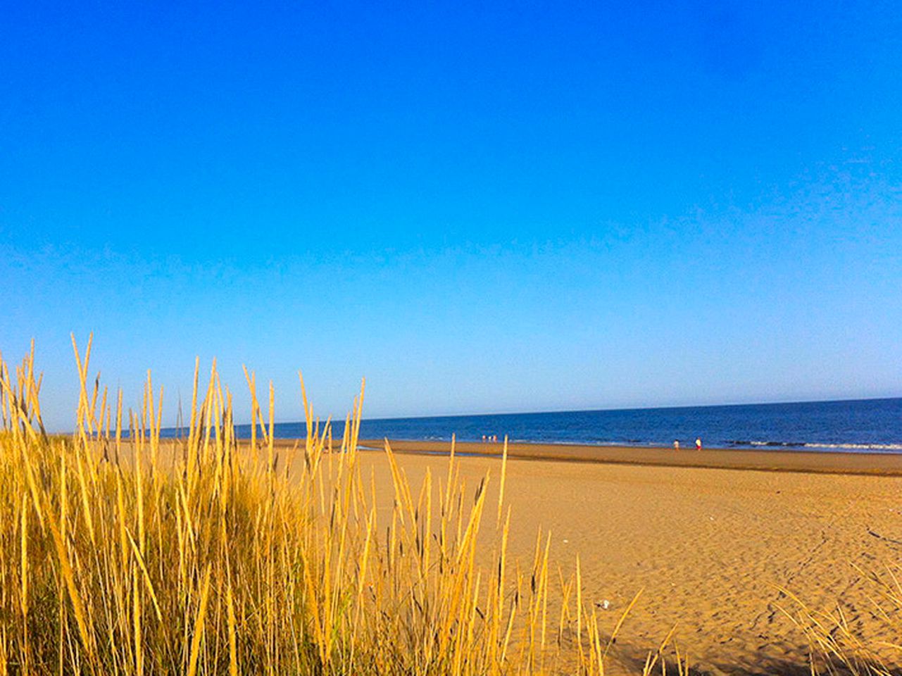Delightful Bell Tent Rental near the Beach for a Glamping Adventure in Huelva, Spain
