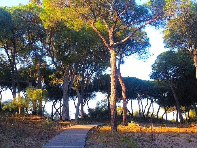 Bell Tents (Huelva, Andalusia, Spain)