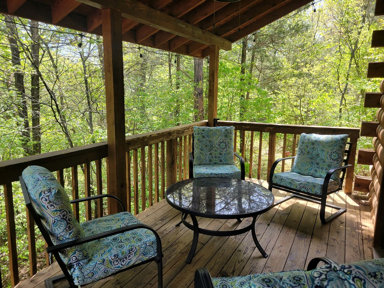 Delightful Cabin with Hot-Tub on the Deck and Indoor Jacuzzi in Arkansas