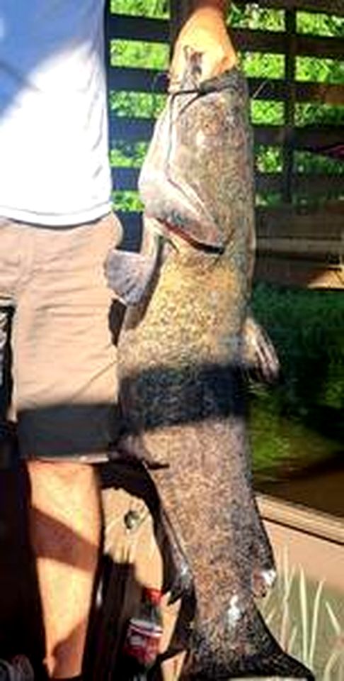 The Gator Den at Caddo Lake in Karnack, Texas
