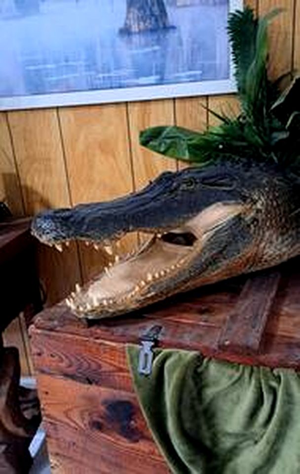 The Gator Den at Caddo Lake in Karnack, Texas