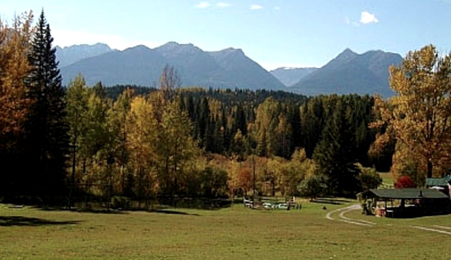 Delightful Cottage Tucked Away in Forests of British Columbia