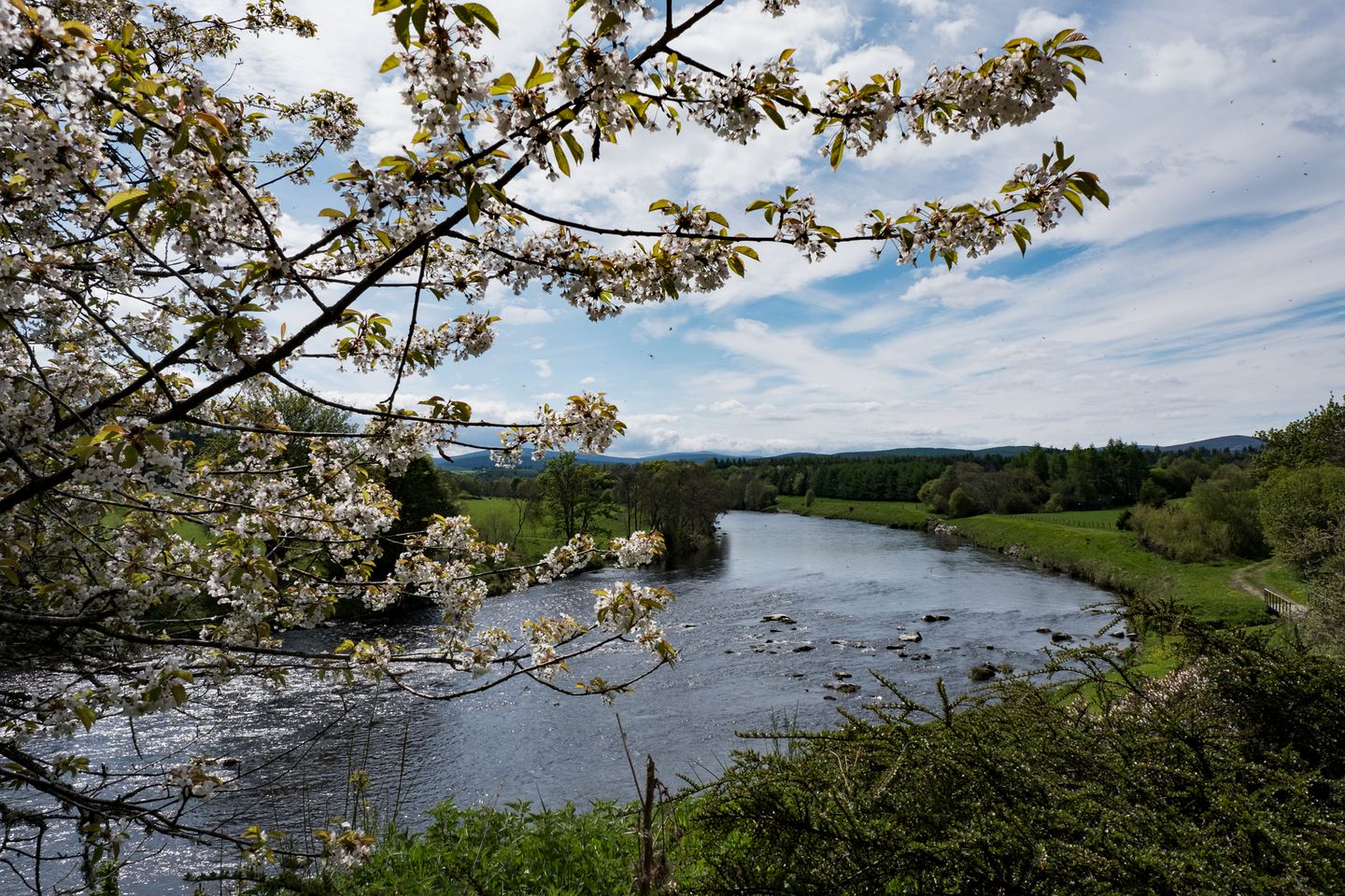 Delightful Holiday Accommodation with Superb Fishing near the River Dee, Aberdeenshire