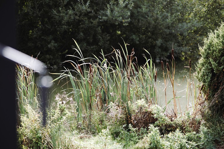 Pods (United Kingdom, Walberton, England)