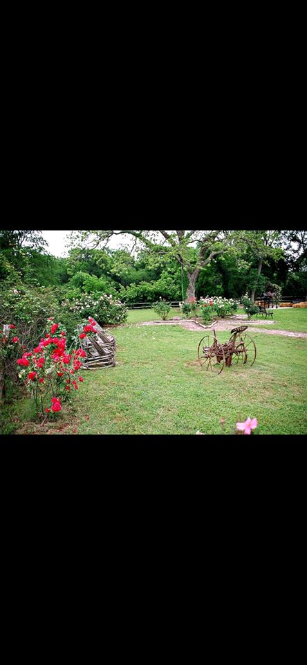 Delightful Safari Tent Glamping Rental on San Marcos River, Texas