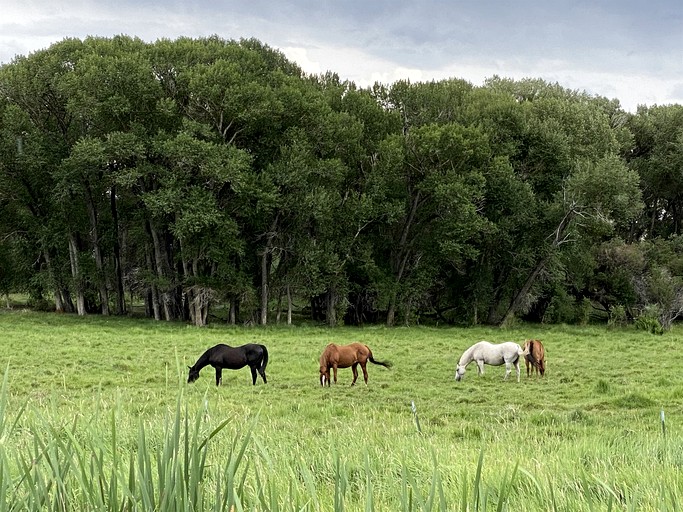 Cabins (United States of America, Riverside, Wyoming)