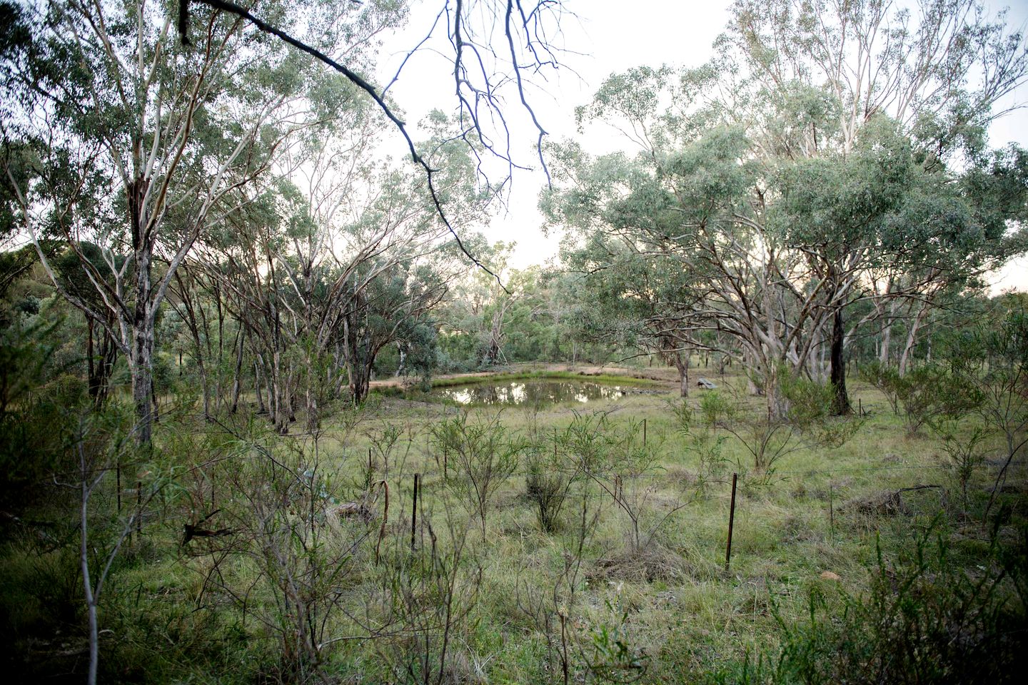 Delightful Tiny House with Fire Pit and Amazing Stargaze in NWS