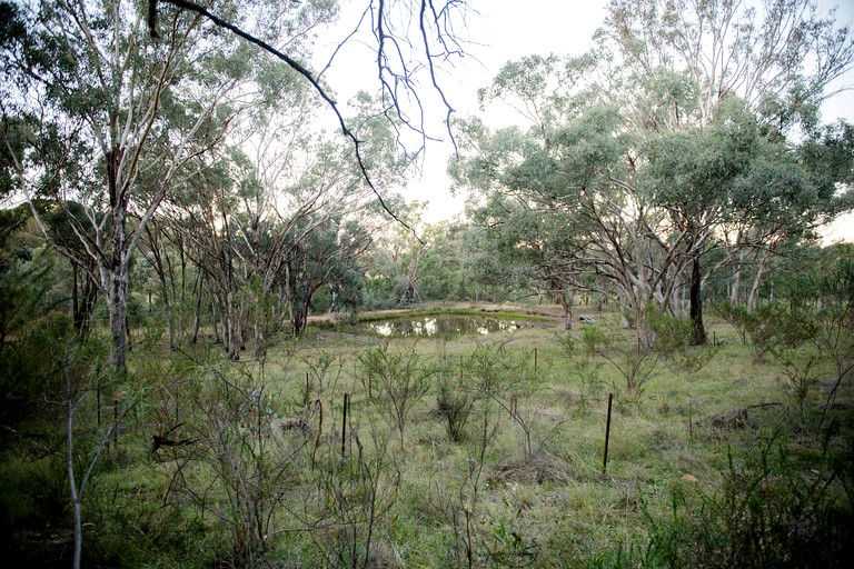 Tiny Houses (Australia, Coonabarabran, New South Wales)