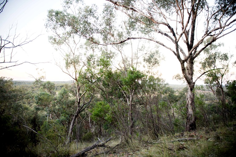 Tiny Houses (Australia, Coonabarabran, New South Wales)
