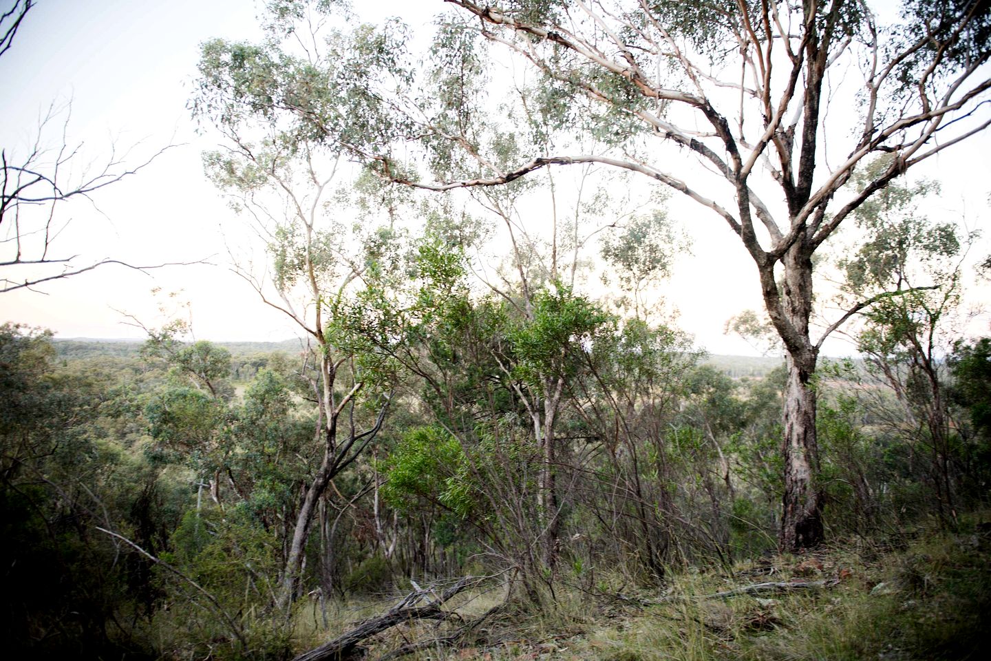 Delightful Tiny House with Fire Pit and Amazing Stargaze in NWS
