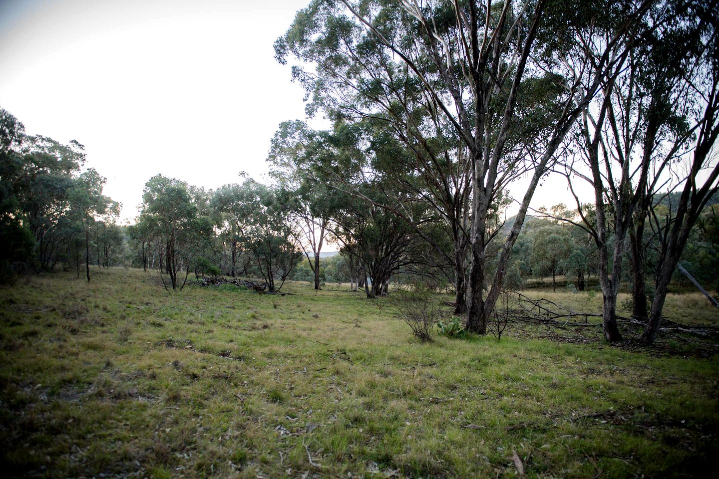 Delightful Tiny House with Fire Pit and Amazing Stargaze in NWS