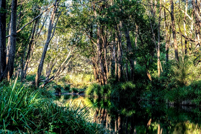 Tiny Houses (Australia, Glenreagh, New South Wales)