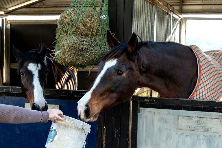 Tiny Houses (Australia, Glenreagh, New South Wales)