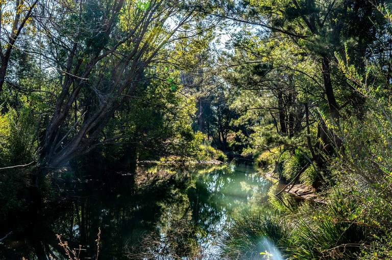 Tiny Houses (Australia, Glenreagh, New South Wales)