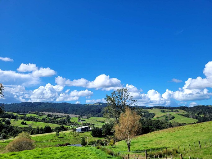 Tiny Houses (New Zealand, Whangarei, North Island)