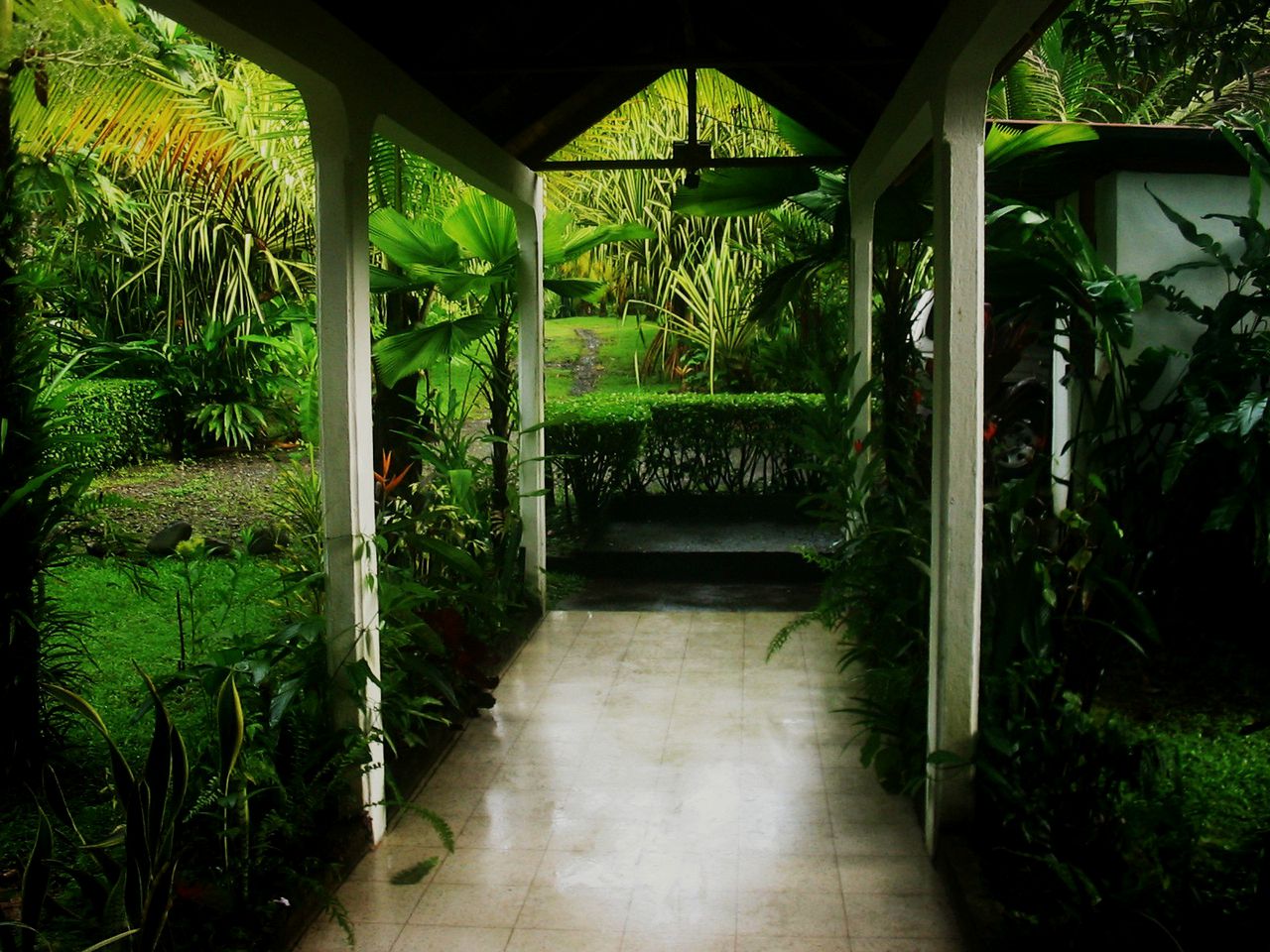 Deluxe Villa Rental Set near Manuel Antonio State Park, Costa Rica