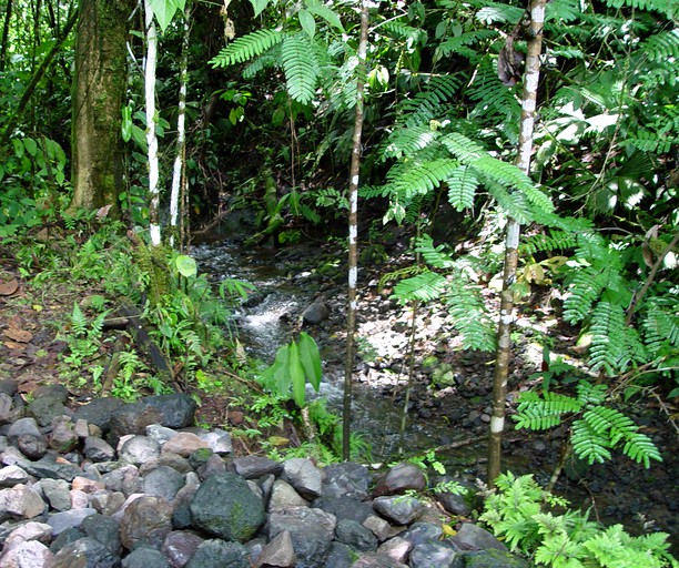 Villas (Quepos, Puntarenas, Costa Rica)