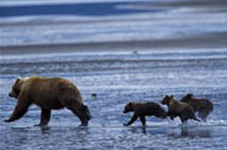 Denny Island B&B, Cabins, Denny Island, Canada Glamping Hub