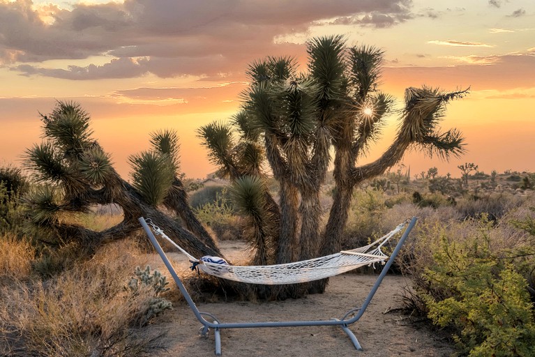 Vacation Rentals (United States of America, Yucca Valley, California)