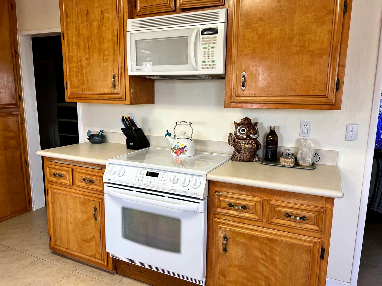 Desert Dreams with Your Furry Friend: Pet-Friendly Rental Under the Stars