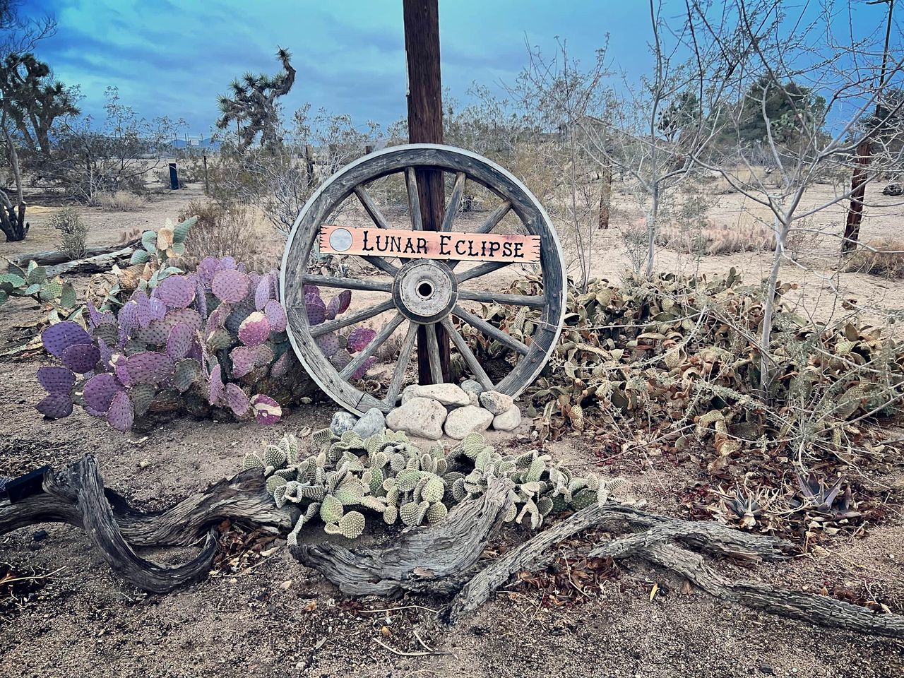 Desert Dreams with Your Furry Friend: Pet-Friendly Rental Under the Stars