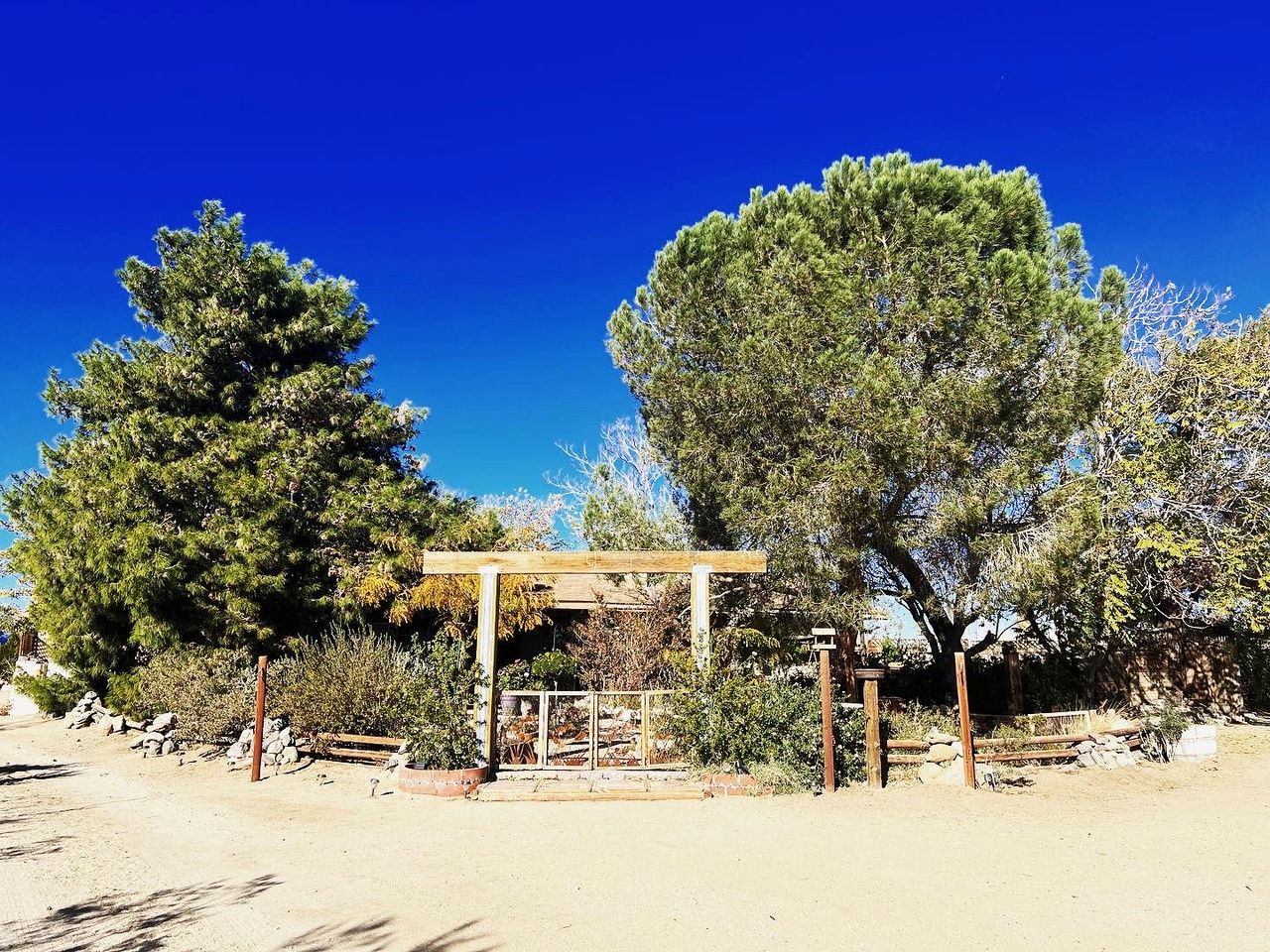 Desert Dreams with Your Furry Friend: Pet-Friendly Rental Under the Stars