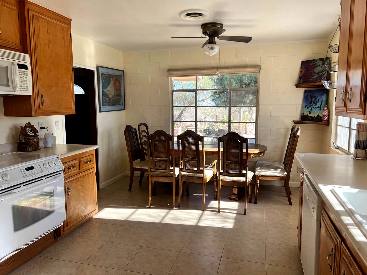 Desert Dreams with Your Furry Friend: Pet-Friendly Rental Under the Stars