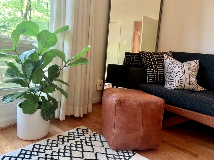 Designer Rentals (United States of America, Chapel Hill, North Carolina)