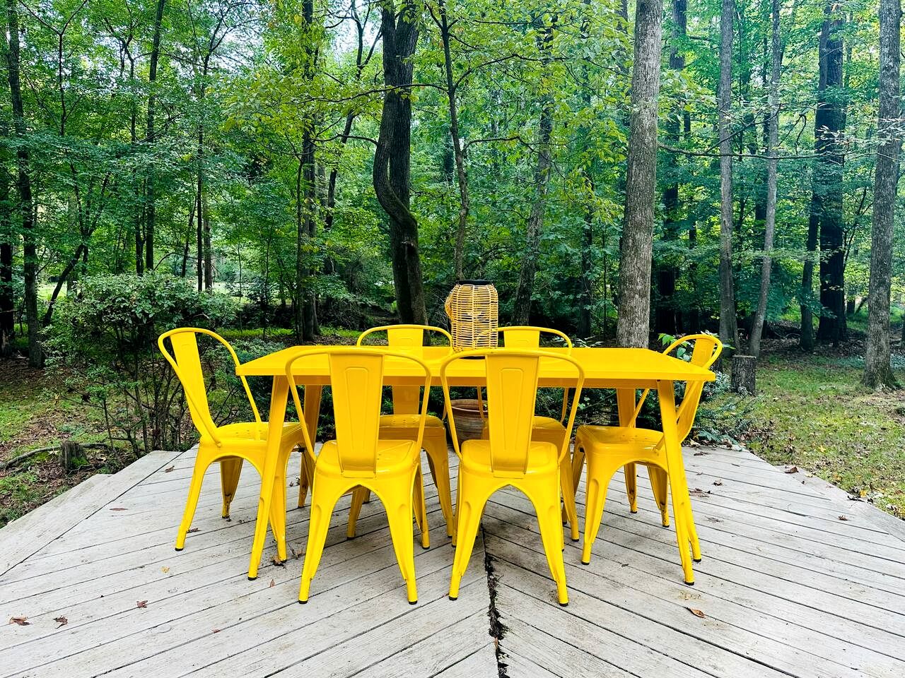 Mid Century Designer Rental for North Carolina Getaway