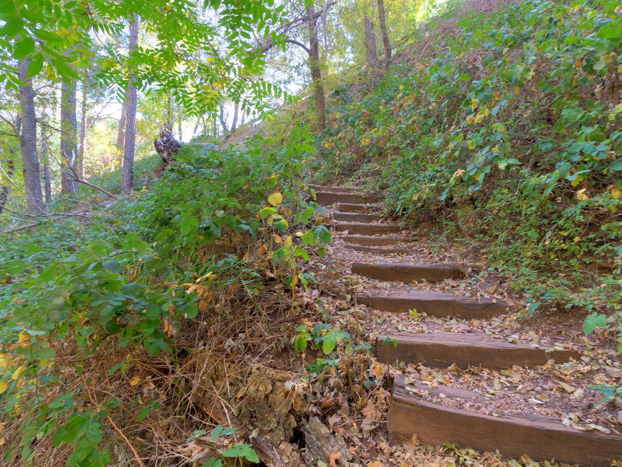 Cabin Rental in Sedona, Arizona
